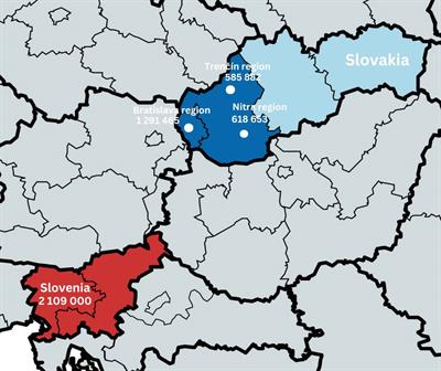 Genetic and clinical characteristics including occurrence of testicular adrenal rest tumors in Slovak and Slovenian patients with congenital adrenal hyperplasia due to 21-hydroxylase deficiency